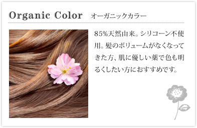 Organic Color　オーガニックカラー 85%天然由来。シリコーン不使用。髪のボリュームがなくなってきた方、肌に優しい薬で色も明るくしたい方におすすめです。