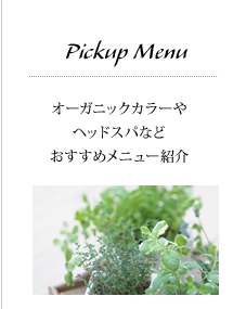 ピックアップメニュー｜オーガニックカラーやヘッドスパなどおすすめメニュー紹介